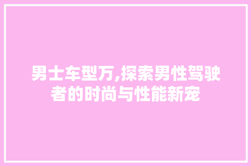 男士车型万,探索男性驾驶者的时尚与性能新宠