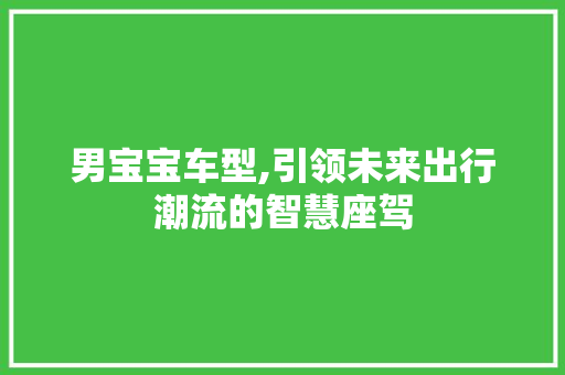 男宝宝车型,引领未来出行潮流的智慧座驾 蓄电池配件