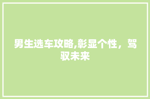 男生选车攻略,彰显个性，驾驭未来