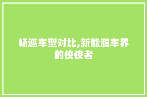 畅巡车型对比,新能源车界的佼佼者