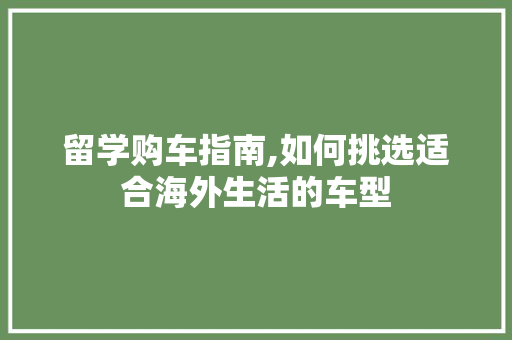 留学购车指南,如何挑选适合海外生活的车型