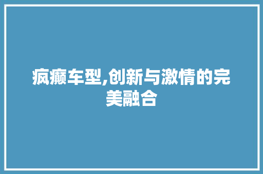 疯癫车型,创新与激情的完美融合