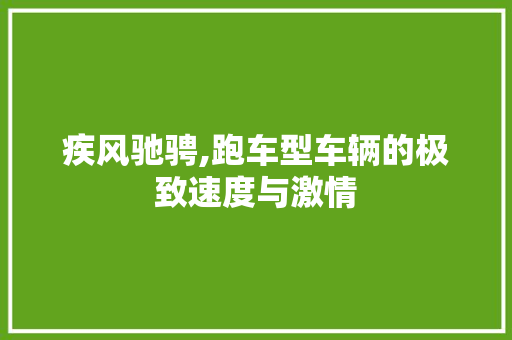 疾风驰骋,跑车型车辆的极致速度与激情