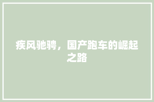 疾风驰骋，国产跑车的崛起之路