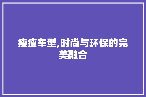 瘦瘦车型,时尚与环保的完美融合 车身配件
