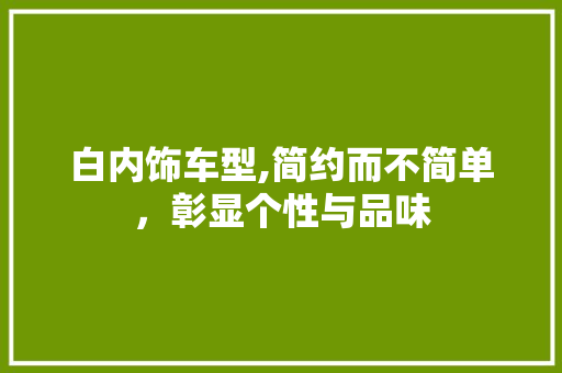 白内饰车型,简约而不简单，彰显个性与品味