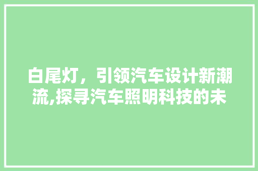 白尾灯，引领汽车设计新潮流,探寻汽车照明科技的未来