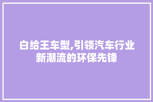 白给王车型,引领汽车行业新潮流的环保先锋