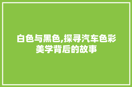 白色与黑色,探寻汽车色彩美学背后的故事
