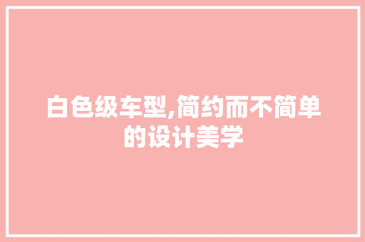 白色级车型,简约而不简单的设计美学