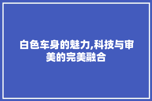 白色车身的魅力,科技与审美的完美融合