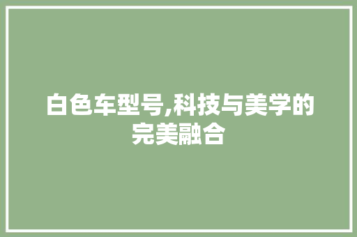 白色车型号,科技与美学的完美融合