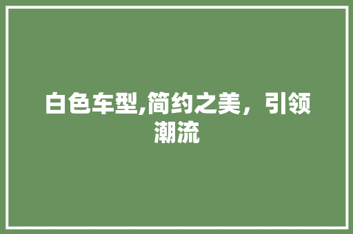 白色车型,简约之美，引领潮流