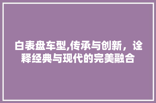 白表盘车型,传承与创新，诠释经典与现代的完美融合