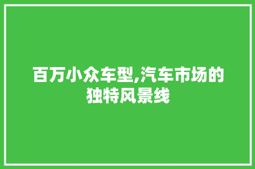 百万小众车型,汽车市场的独特风景线