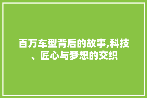 百万车型背后的故事,科技、匠心与梦想的交织