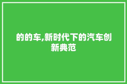 的的车,新时代下的汽车创新典范