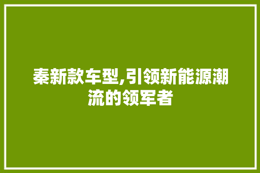 秦新款车型,引领新能源潮流的领军者