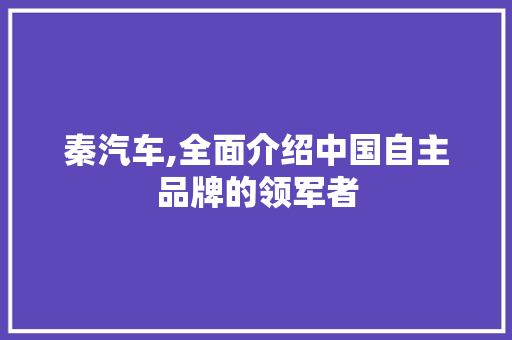 秦汽车,全面介绍中国自主品牌的领军者