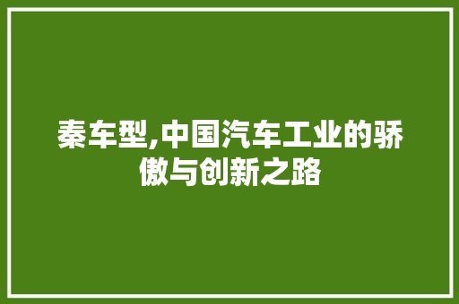 秦车型,中国汽车工业的骄傲与创新之路