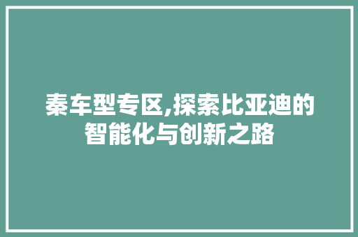 秦车型专区,探索比亚迪的智能化与创新之路
