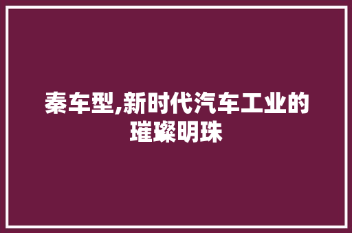 秦车型,新时代汽车工业的璀璨明珠