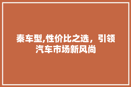 秦车型,性价比之选，引领汽车市场新风尚