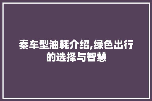 秦车型油耗介绍,绿色出行的选择与智慧