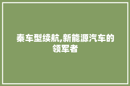 秦车型续航,新能源汽车的领军者