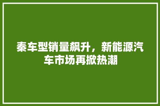 秦车型销量飙升，新能源汽车市场再掀热潮