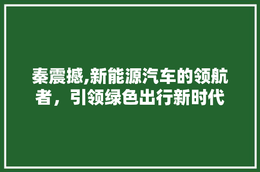 秦震撼,新能源汽车的领航者，引领绿色出行新时代