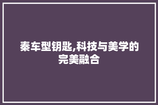 秦车型钥匙,科技与美学的完美融合