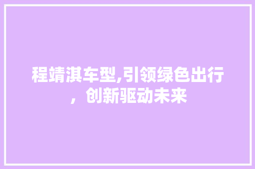 程靖淇车型,引领绿色出行，创新驱动未来