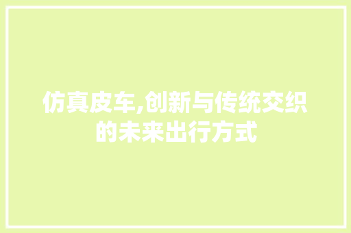 仿真皮车,创新与传统交织的未来出行方式