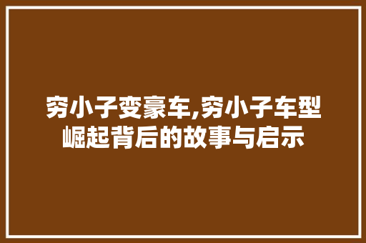 穷小子变豪车,穷小子车型崛起背后的故事与启示