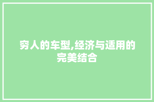 穷人的车型,经济与适用的完美结合