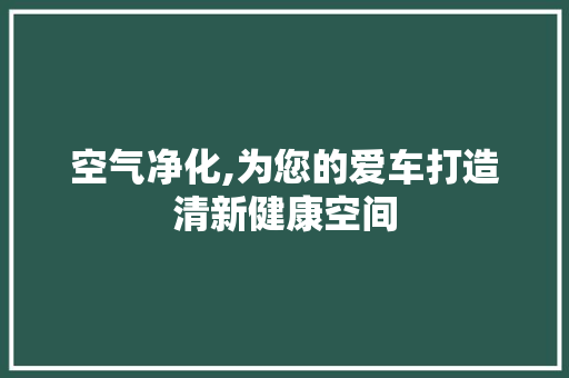 空气净化,为您的爱车打造清新健康空间