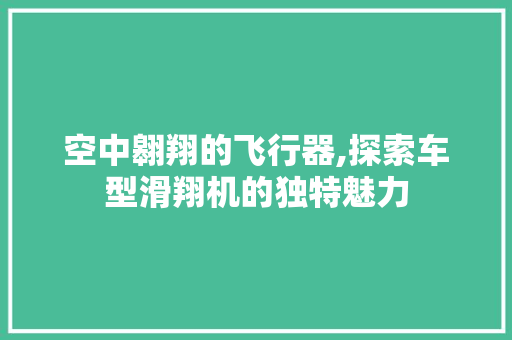 空中翱翔的飞行器,探索车型滑翔机的独特魅力