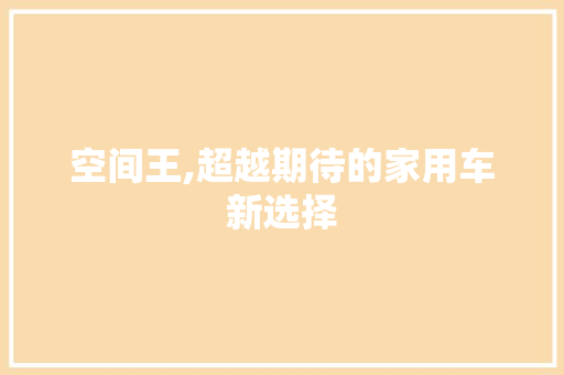 空间王,超越期待的家用车新选择