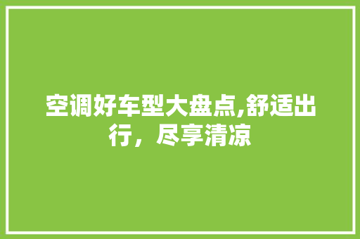 空调好车型大盘点,舒适出行，尽享清凉