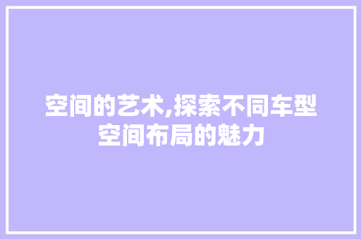 空间的艺术,探索不同车型空间布局的魅力