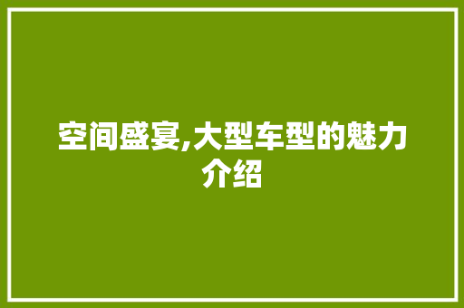 空间盛宴,大型车型的魅力介绍