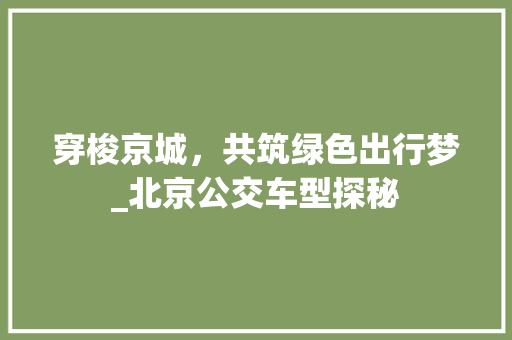 穿梭京城，共筑绿色出行梦_北京公交车型探秘