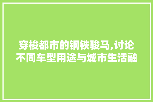 穿梭都市的钢铁骏马,讨论不同车型用途与城市生活融合