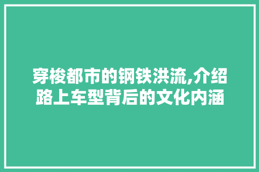 穿梭都市的钢铁洪流,介绍路上车型背后的文化内涵