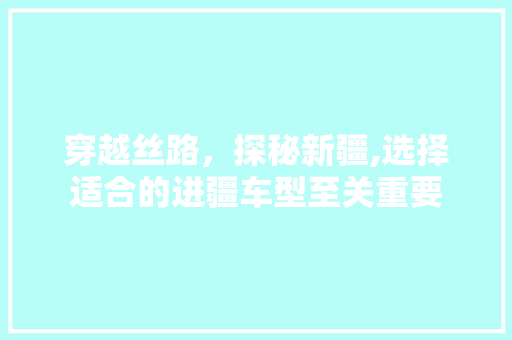 穿越丝路，探秘新疆,选择适合的进疆车型至关重要