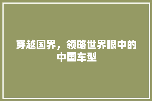 穿越国界，领略世界眼中的中国车型