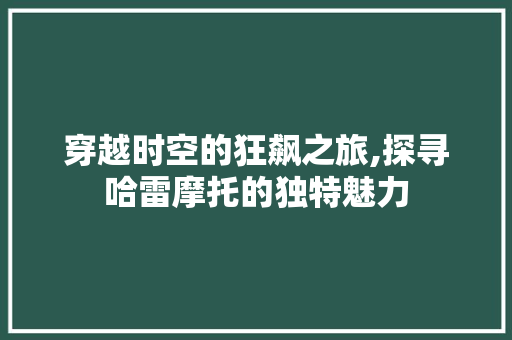 穿越时空的狂飙之旅,探寻哈雷摩托的独特魅力