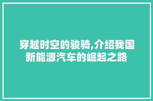 穿越时空的骏骑,介绍我国新能源汽车的崛起之路