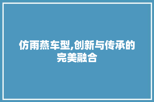 仿雨燕车型,创新与传承的完美融合
